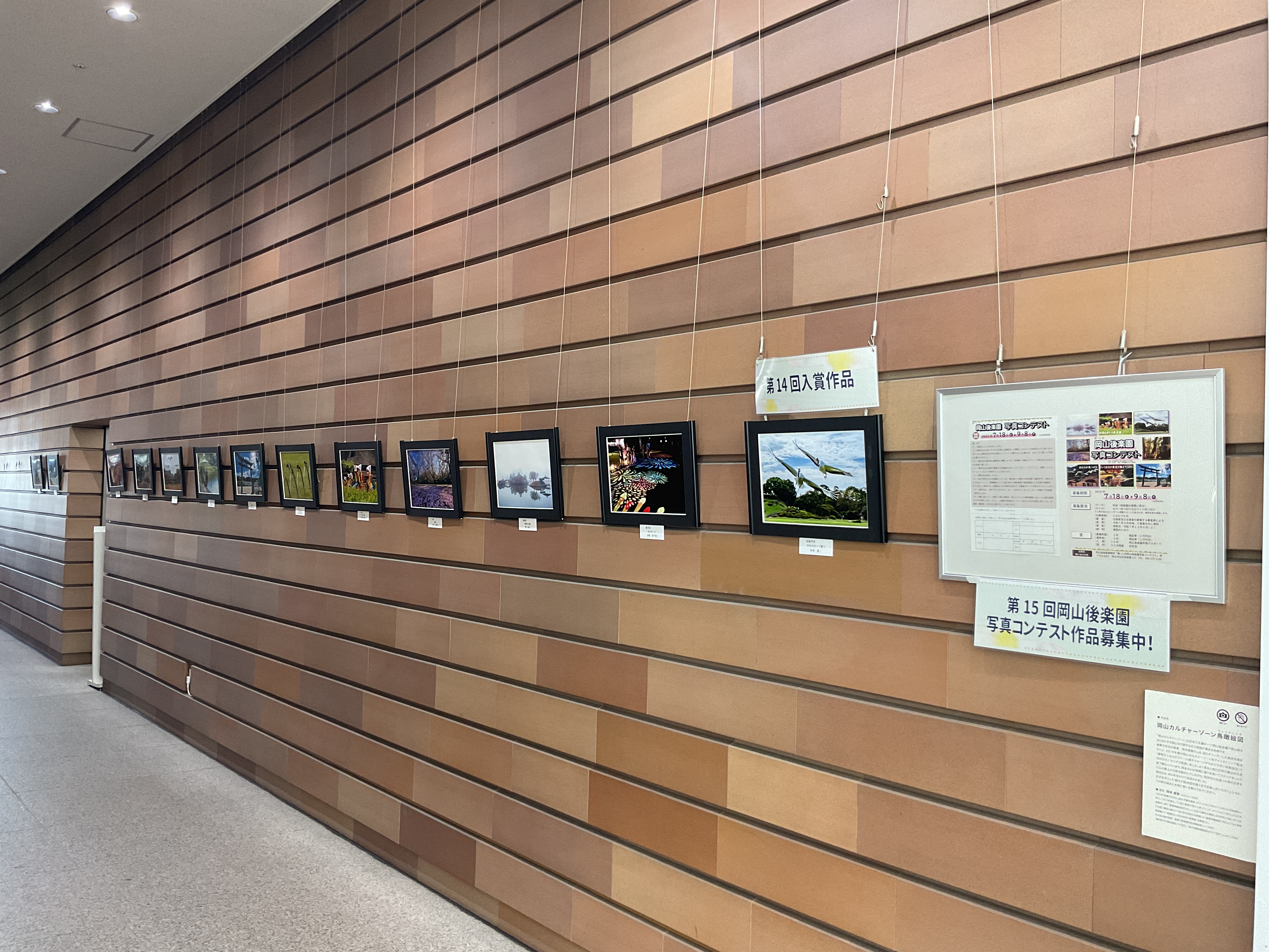 展示画像『第１４回岡山後楽園写真コンテスト」⼊賞作品』