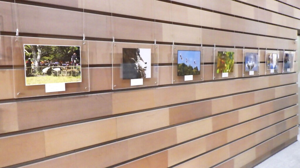 「令和６年度岡山県自然保護センター写真展　入賞・入選作品」展示画像2