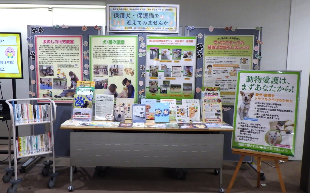 「保護犬・保護猫を迎えてみませんか」展示画像１