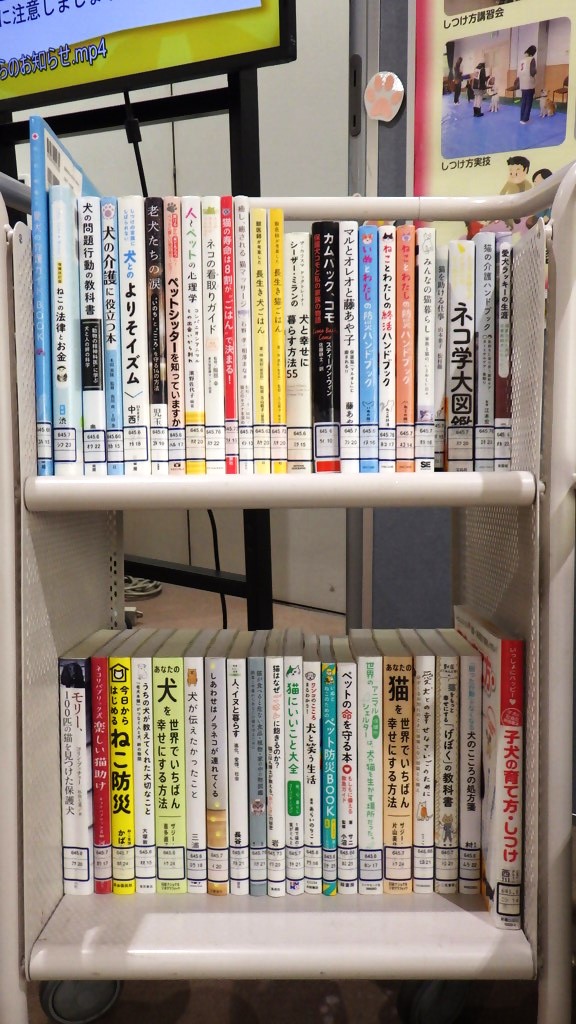 「保護犬・保護猫を迎えてみませんか」展示画像２