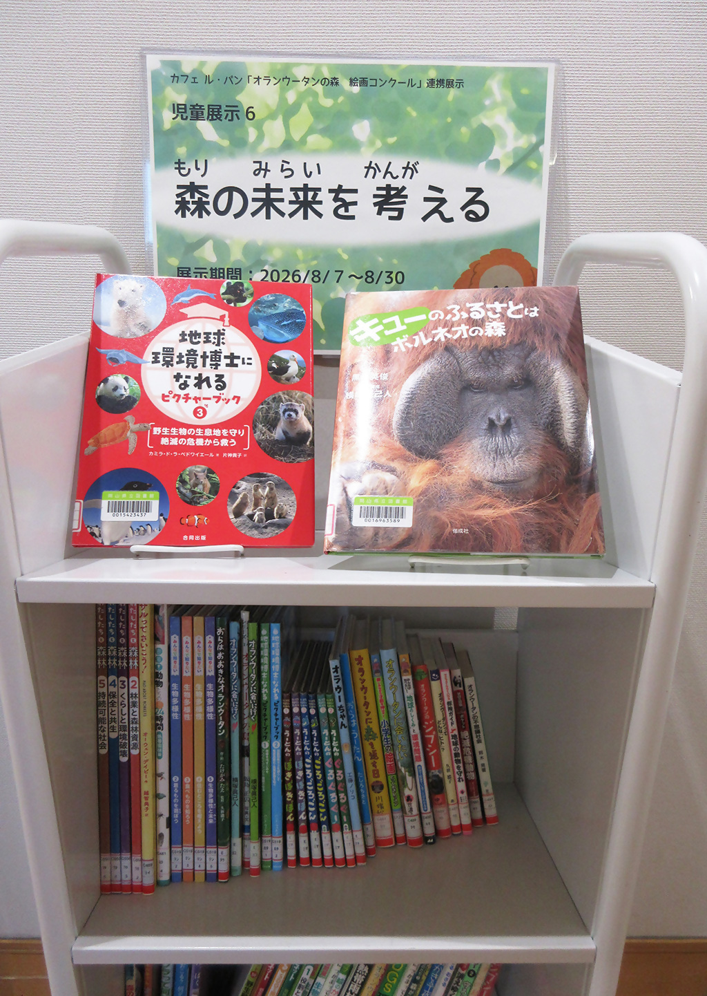 「森の未来を考える」展示画像1